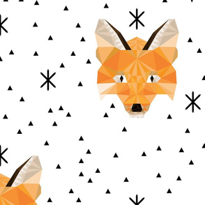 Geometric Fox - Large Scale