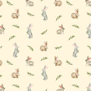 Funny rabbits