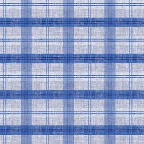 The Blues Plaid 2