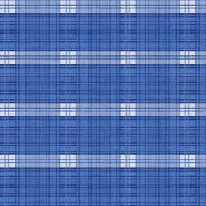 The Blues Plaid 1