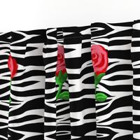 Zebra Rose Medium