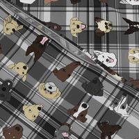 Dogs colour on grey plaid final