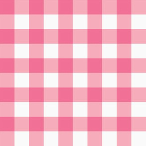 small gingham pink