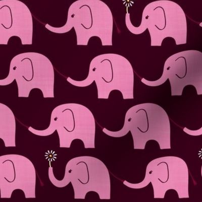 Elephant Parade on Raspberry