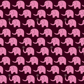 Elephant Parade on Raspberry