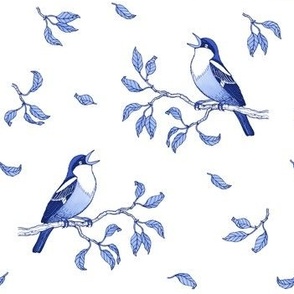 Blue singing birds