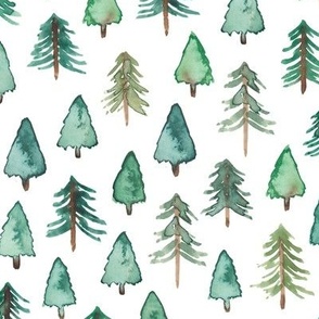  (Bigger) Evergreen Christmas Trees or Forest