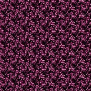 Flower Spark Fireworks in Beautyberry