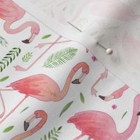 Watercolour Flamingos (clockwise)