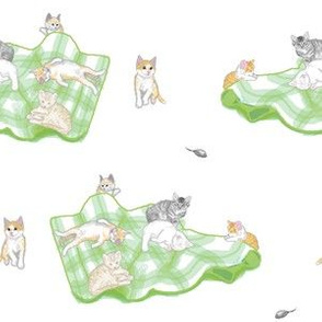kittens on green blanket white carpet half brick rev