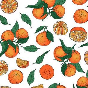 Tangerins on a white background