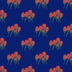 Floral-Indian Paintbrush-Blue 