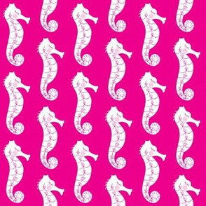 seahorses on hot pink