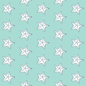 starfish on teal