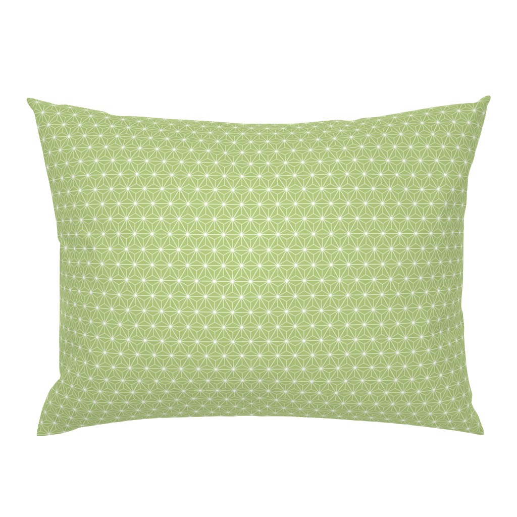 Radiant Triangles Bamboo Coordinate light green and white