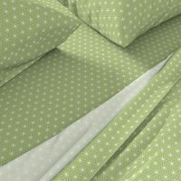 Radiant Triangles Bamboo Coordinate light green and white