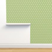 Radiant Triangles Bamboo Coordinate light green and white