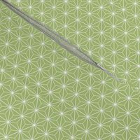 Radiant Triangles Bamboo Coordinate light green and white