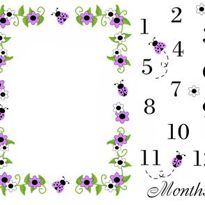 Purple Lavender Ladybug Baby Girl Milestone Monthly Photo Prop