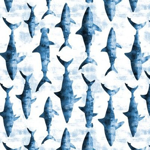 sharks - blue (90) C18BS
