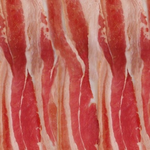 bacon_wallpaper_for_jessica