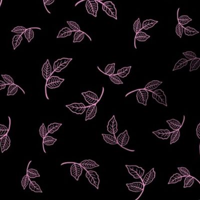 Small Rose Leaves Hot Pink on Black