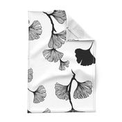 Ginkgo leaves black & white large scale