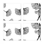 Ginkgo leaves black & white large scale