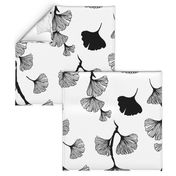 Ginkgo leaves black & white large scale