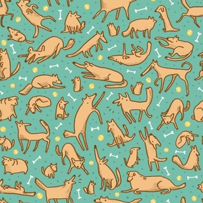 Pup Pattern