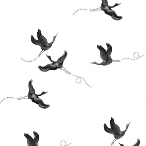 Black Watercolor Cranes Birds