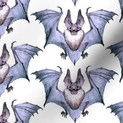 Watercolor Bat 2