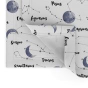 Moon & Constellations