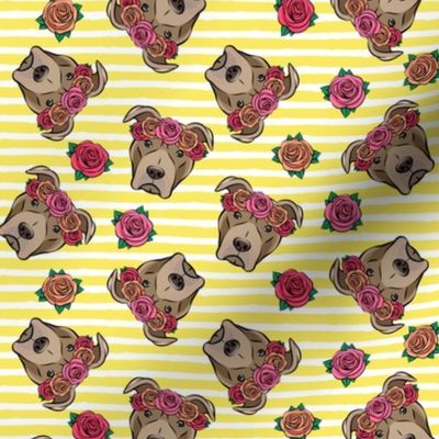 pit bulls - floral crowns - yellow stripes