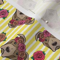 pit bulls - floral crowns - yellow stripes