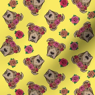 pit bulls - floral crowns - yellow
