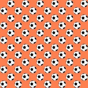 Half Inch Black and White Soccer Balls on Coral