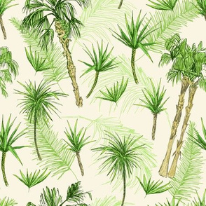 Arecaceae and Palmae