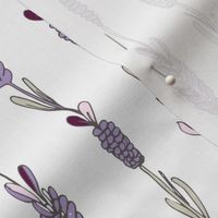 Lavender field white neutral