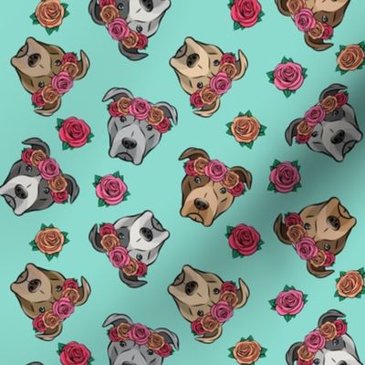 all the pit bulls - floral crowns -  teal