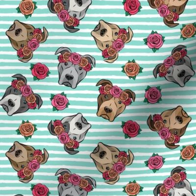 all the pit bulls - floral crowns -  teal stripes