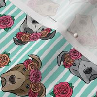 all the pit bulls - floral crowns -  teal stripes