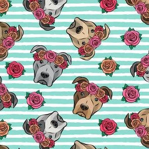 all the pit bulls - floral crowns -  teal stripes