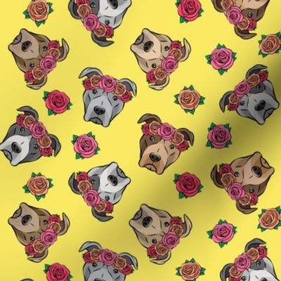 all the pit bulls - floral crowns -  yellow