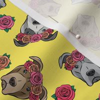 all the pit bulls - floral crowns -  yellow