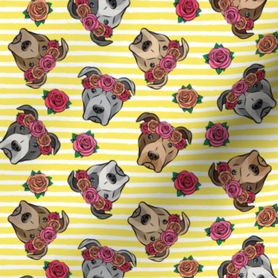 all the pit bulls - floral crowns -  yellow stripes