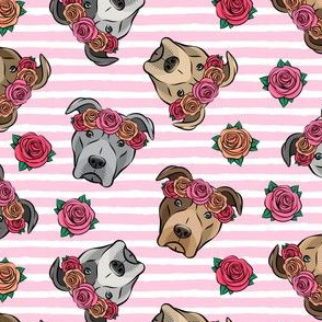 all the pit bulls - floral crowns -  pink stripes
