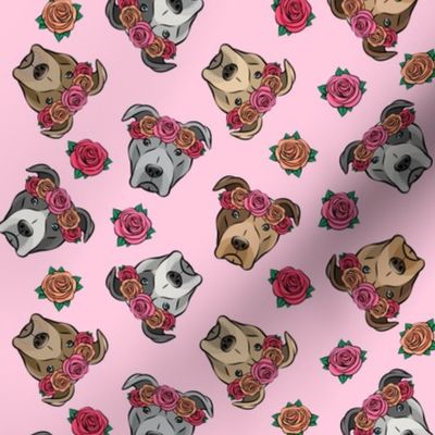 all the pit bulls - floral crowns -  pink