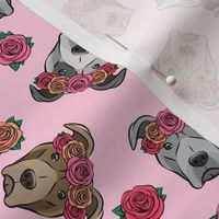 all the pit bulls - floral crowns -  pink