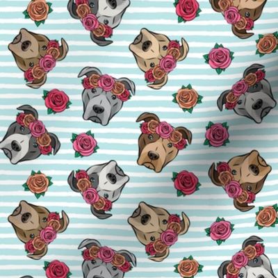 all the pit bulls - floral crowns -   blue stripes
